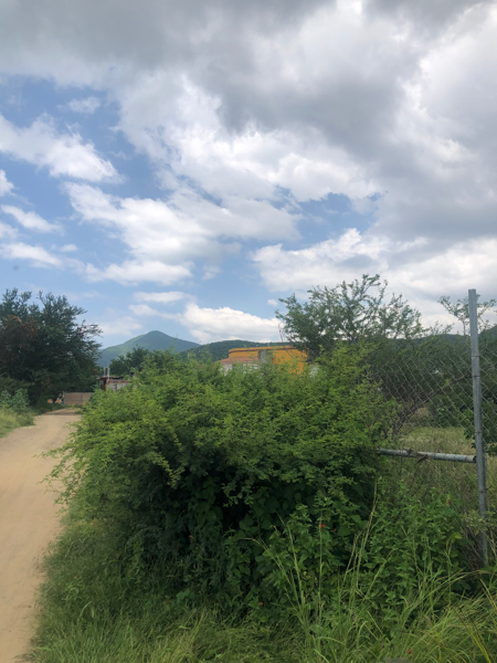 Terreno en venta en Santo Domingo Tomaltepec, Santo Domingo Tomaltepec — foto 2 de 7