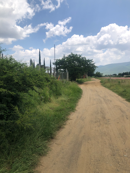 Terreno en venta en Santo Domingo Tomaltepec, Santo Domingo Tomaltepec — foto 3 de 7