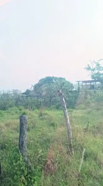 Terreno en venta en Mata de Pita, Veracruz — foto 2 de 4