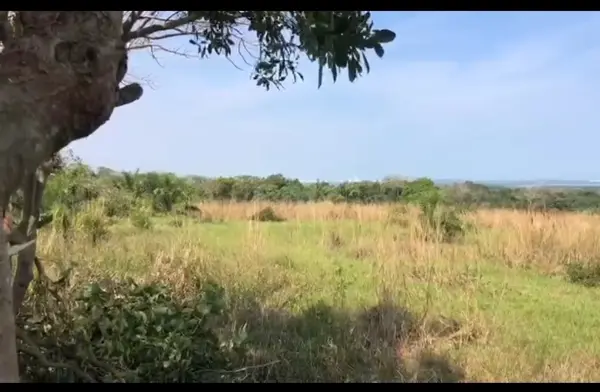 Terreno en venta en La Laguna y Monte del Castillo, Medellín de Bravo — foto 3 de 11