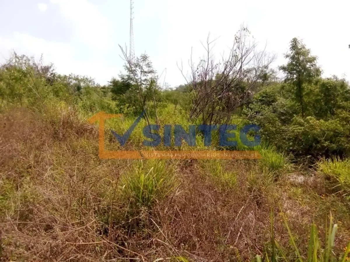 Terreno en venta en Técnicos y Profesionistas, Poza Rica de Hidalgo — foto 1 de 9