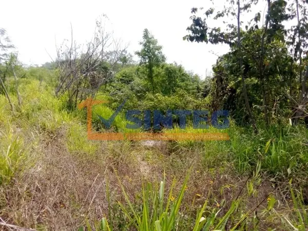 Terreno en venta en Técnicos y Profesionistas, Poza Rica de Hidalgo — foto 2 de 9