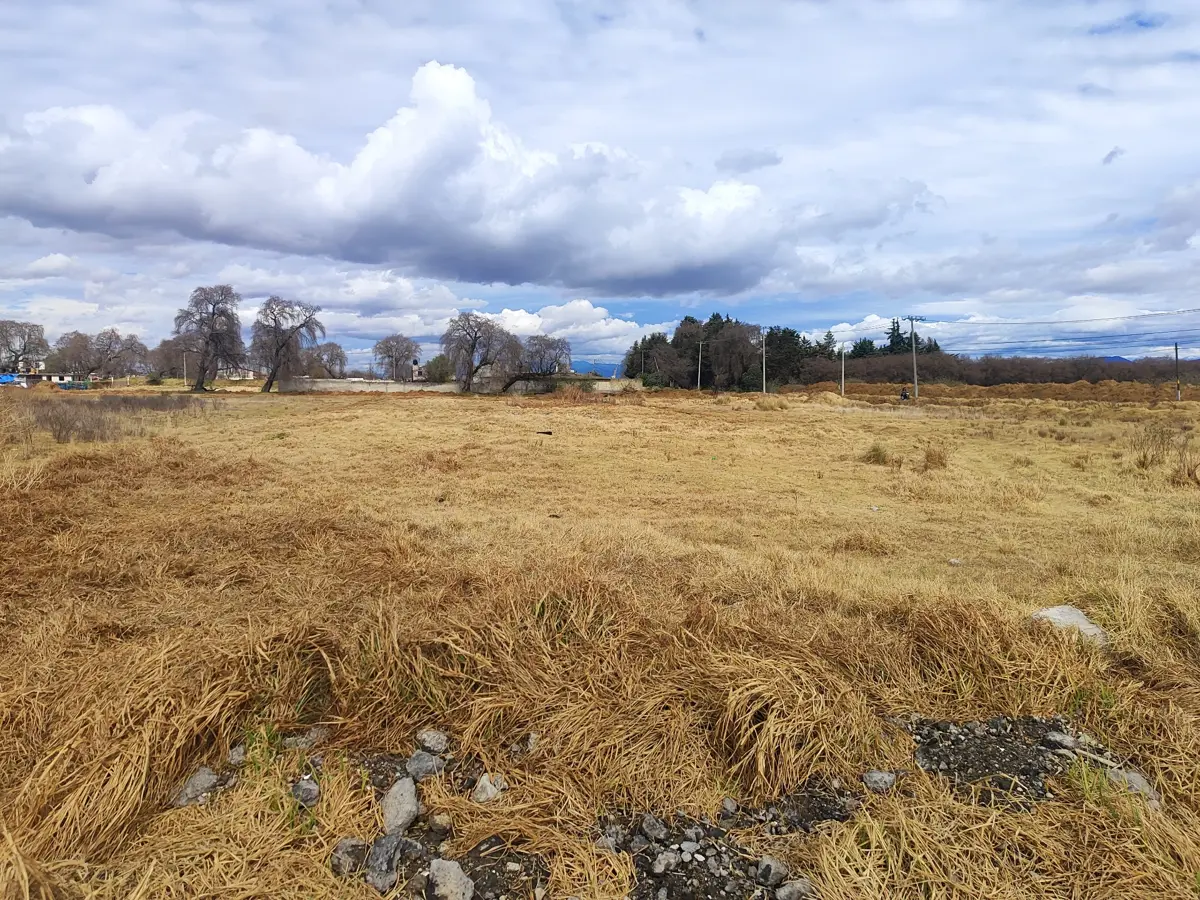 Terreno en venta en San Isidro, Mexicaltzingo — foto 1 de 10