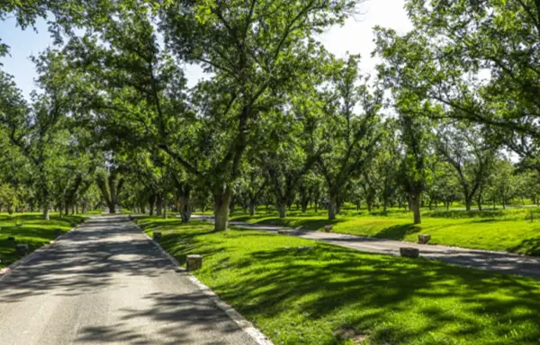Terreno en venta en Parras de la Fuente Centro, Parras — foto 3 de 5