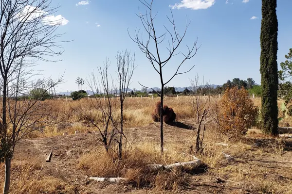Terreno en venta en Agua Nueva, Saltillo — foto 3 de 4