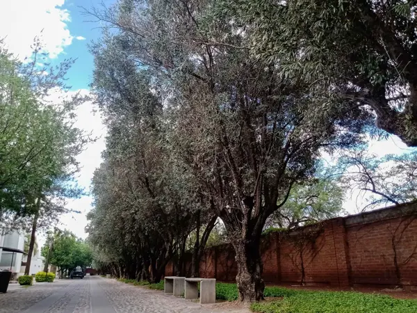 Hermosa Casa Nueva en Los Olivos Reserva Residencial