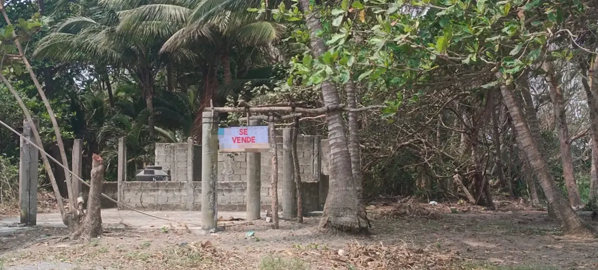 Terreno en venta en Mata de Uva, Alvarado — foto 1 de 6