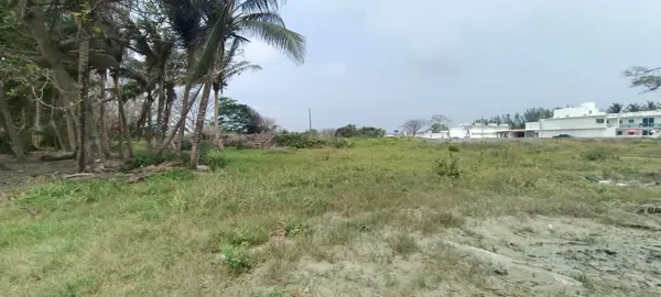 Terreno en venta en Mata de Uva, Alvarado — foto 3 de 6