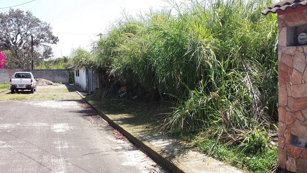 Terreno en venta en Melesio Portillo, Fortín — foto 3 de 14