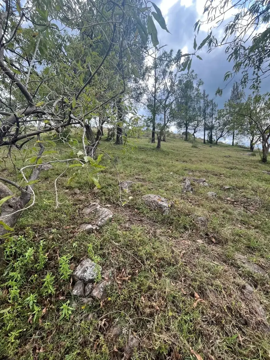 Terreno en venta en Santiago Coltzingo, Ocoyucan — foto 1 de 14