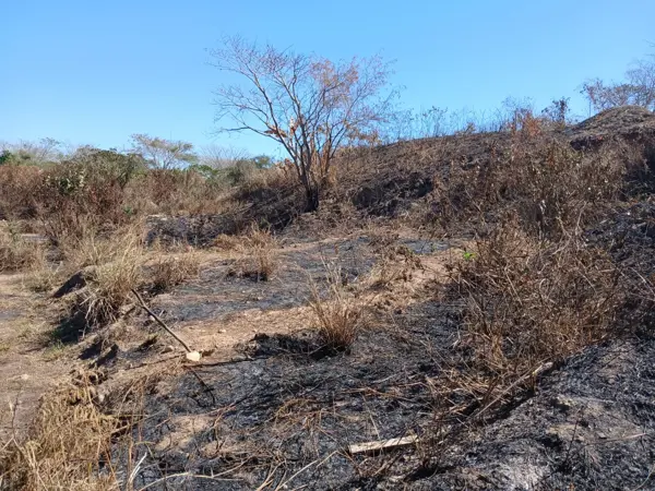 Terreno en venta en Ecoterra, Puerto Vallarta — foto 2 de 4