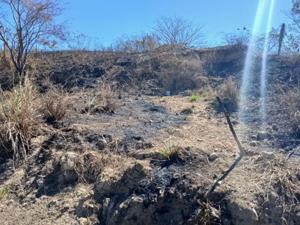 Terreno en venta en Ecoterra, Puerto Vallarta — foto 3 de 4