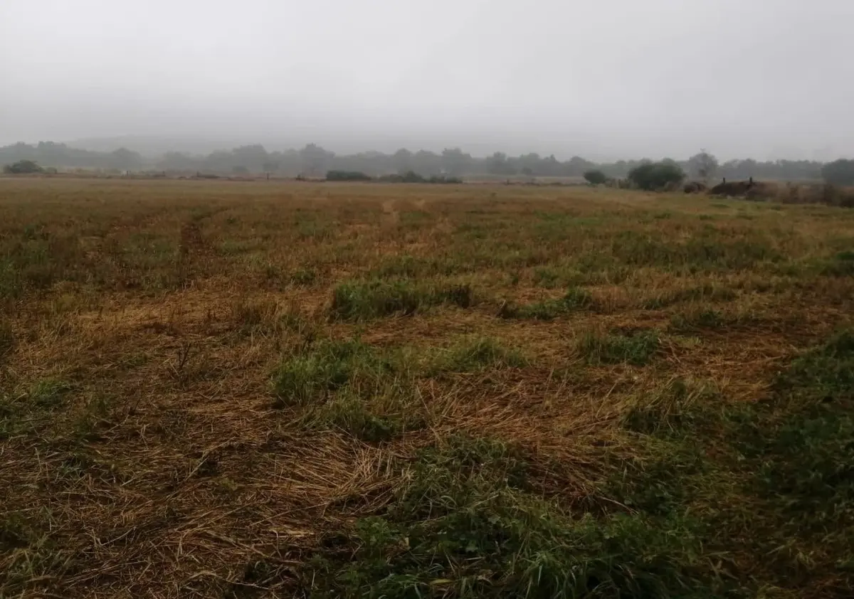Terreno en venta en Texas, Atotonilco de Tula