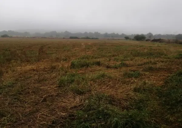 Venta de Parcela de Riego en Atotonilco de Tula, Hidalgo cerca de Planta Cementera