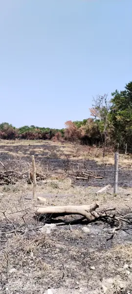 Terreno en venta en Paso del Toro, Medellín de Bravo — foto 3 de 7
