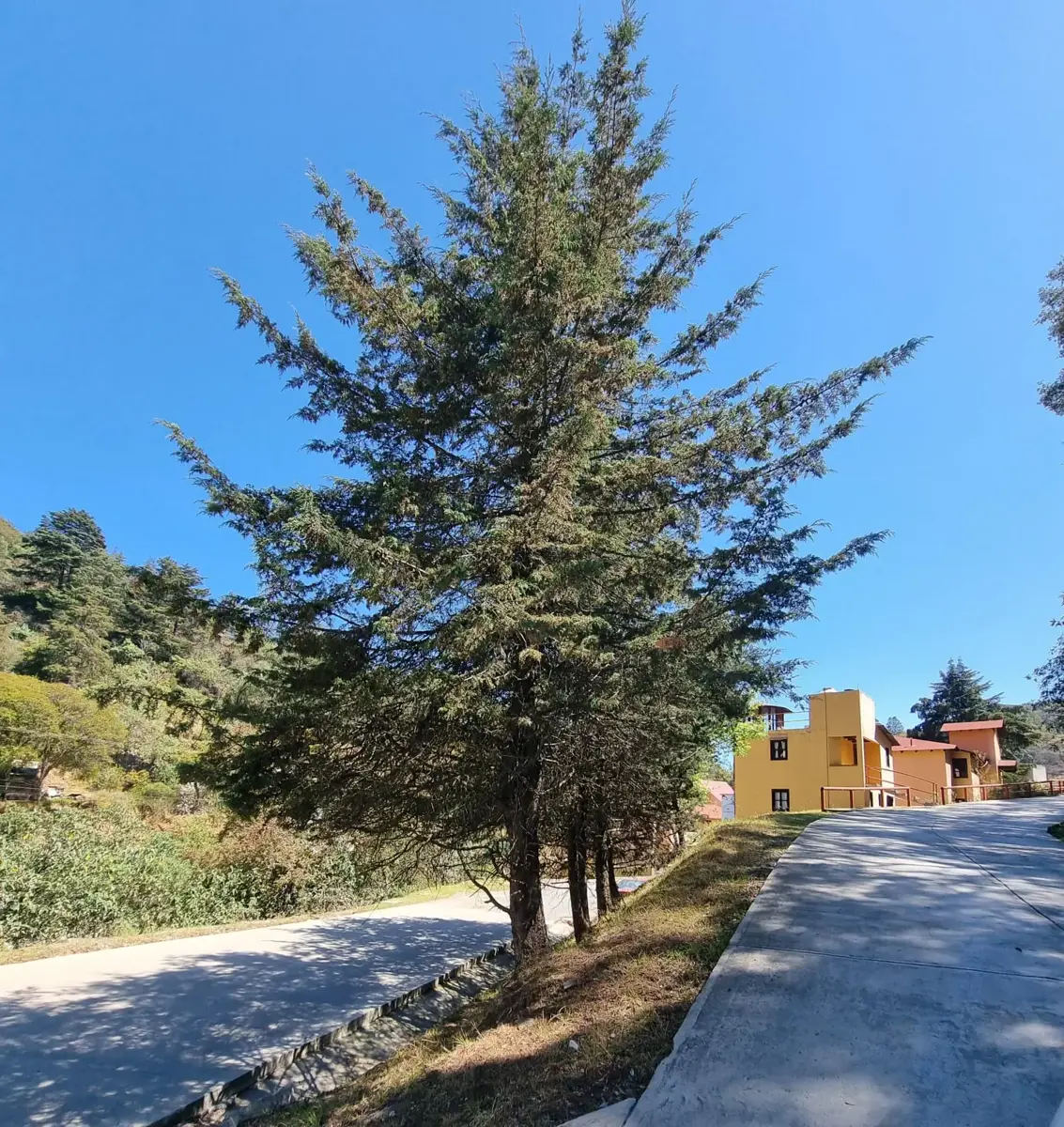 Terreno en venta en Escobar, Mineral del Monte — foto 1 de 17