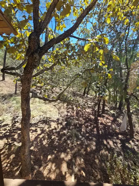 Terreno en venta en Chiquilistlan, Chiquilistlán — foto 3 de 5