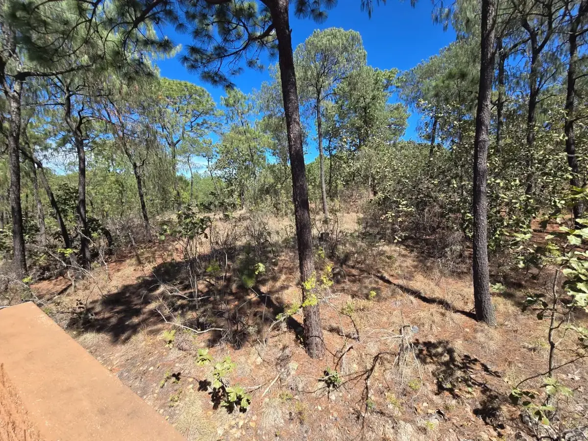 Terreno en venta en Chiquilistlan, Chiquilistlán — foto 1 de 5