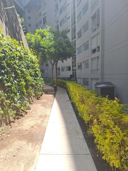 Departamento en venta en Lomas de Bezares, Miguel Hidalgo — foto 3 de 22