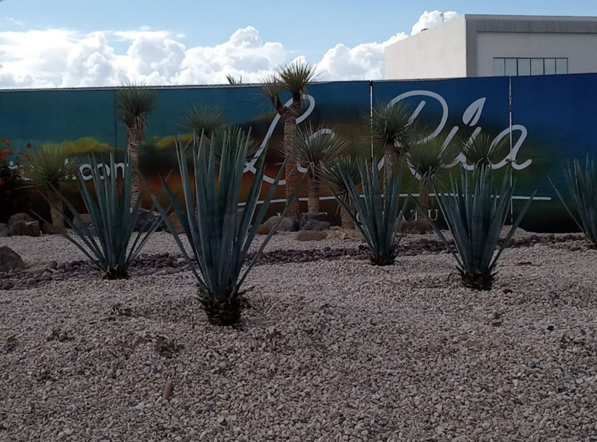 Terreno en venta en La Rúa Residencial, Torreón — foto 1 de 6