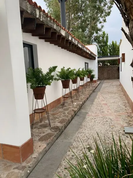 Casa en venta en El Palmito, Indé — foto 2 de 22
