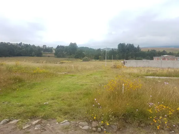 Terreno en venta en San Francisco Tlalcilalcalpan, Almoloya de Juárez — foto 2 de 10