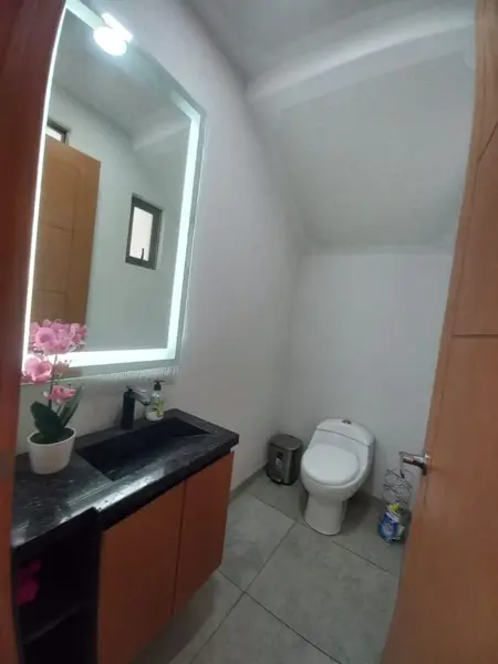 Casa en venta en San Antonio Buenavista, Toluca — foto 3 de 16