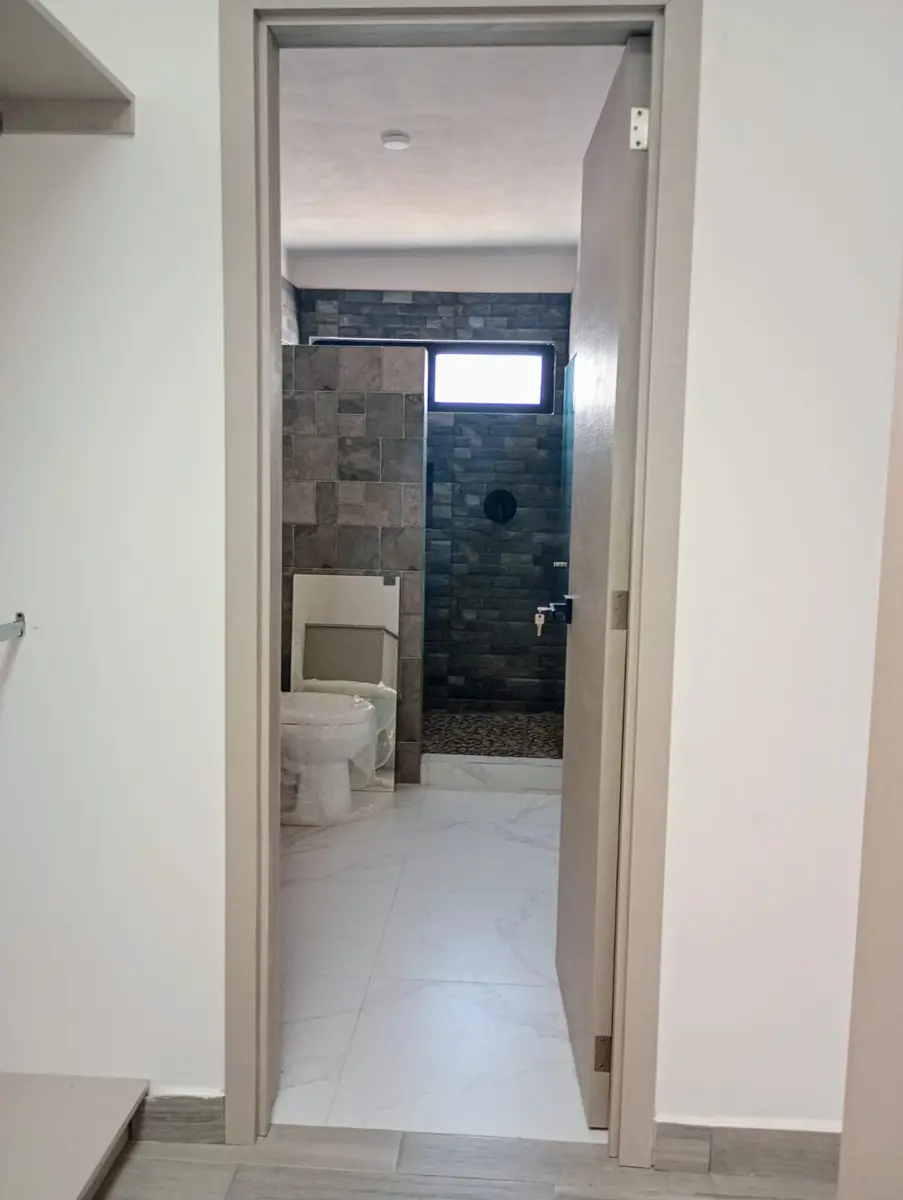 picture-4