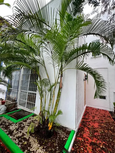 Venta de casa a Venta de casa a solo 800m de la playa solo 800m de la playa — foto 1 de 20