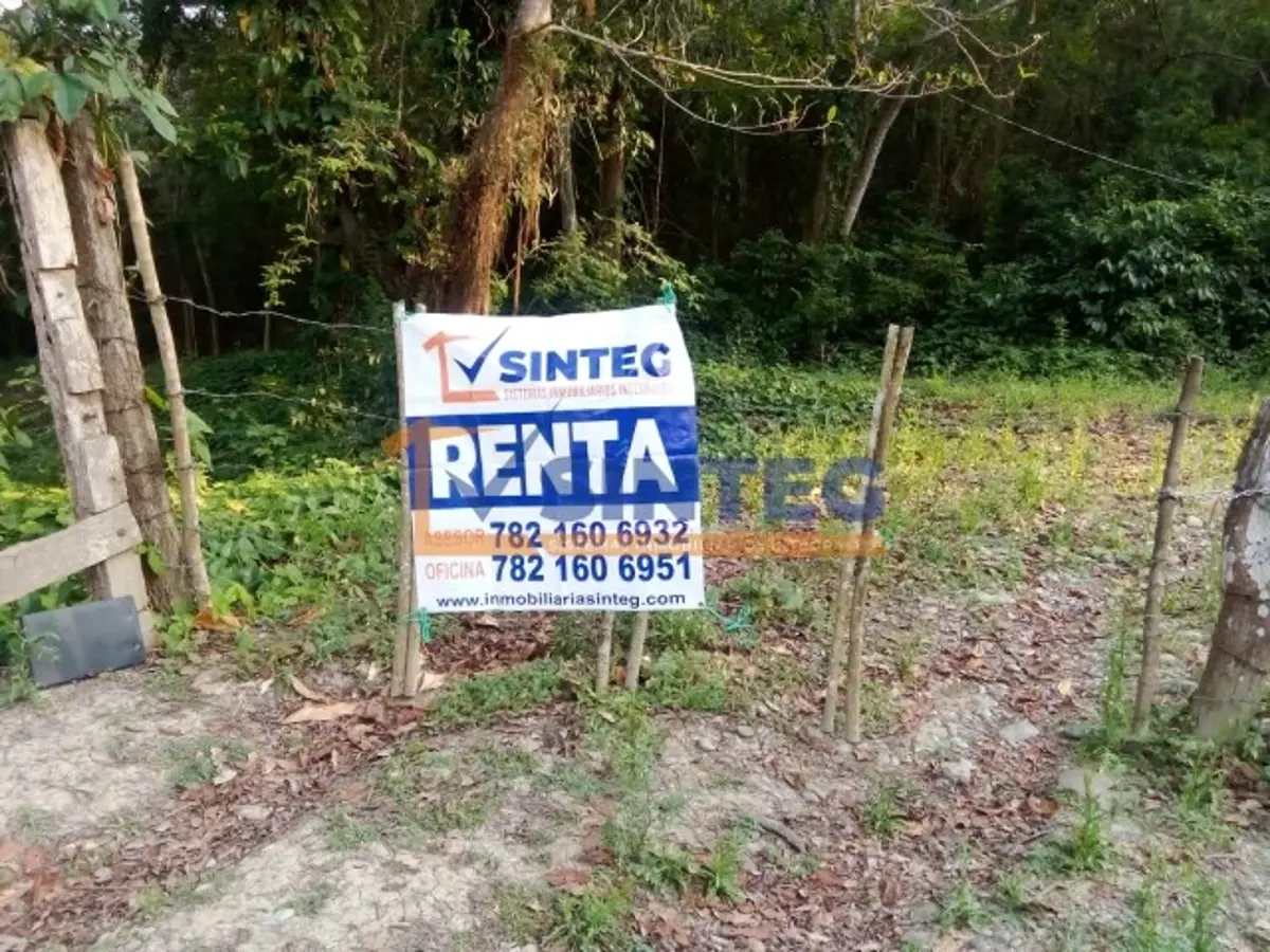 Terreno en renta en Tihuatlan Centro, Tihuatlán — foto 1 de 24