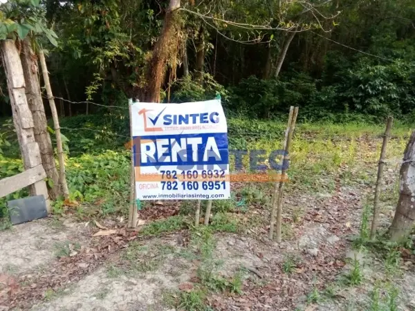 RENTA DE UNA HECTAREA EN CARR. TIHUATLAN - CASTILLO DE TEAYO, VERACRUZ