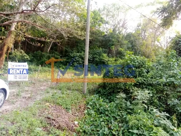 Terreno en renta en Tihuatlan Centro, Tihuatlán — foto 2 de 24