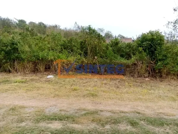Terreno en venta en Parcela 44, Poza Rica de Hidalgo — foto 3 de 11