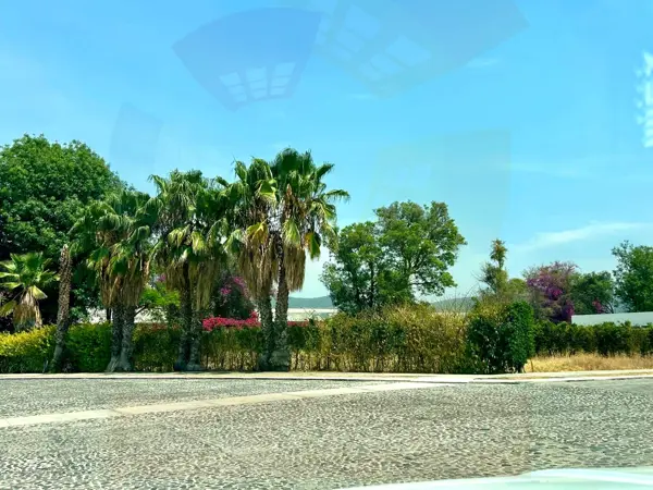 Terreno en venta en Emiliano Zapata Nexatengo, Atlixco — foto 3 de 4