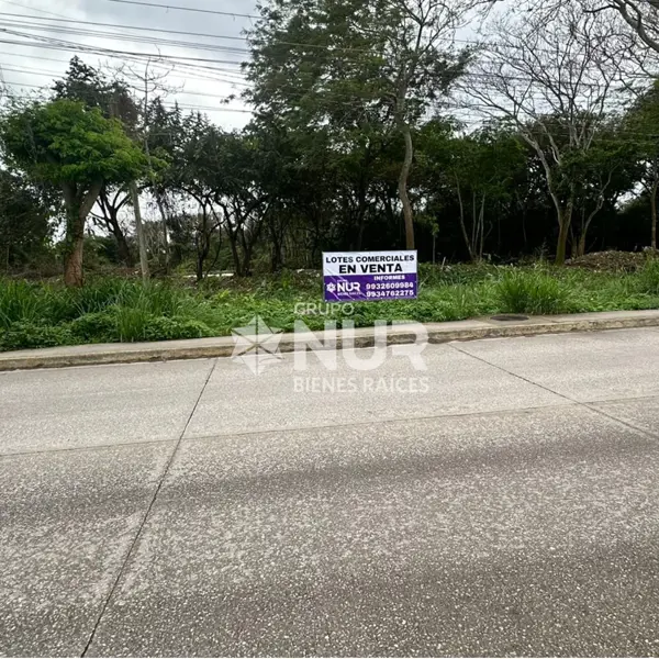 LOTES COMERCIALES EN VENTA FRACC. POMOCA