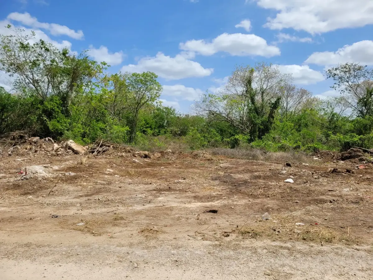 Terreno en venta en Dzitya, Mérida — foto 1 de 2