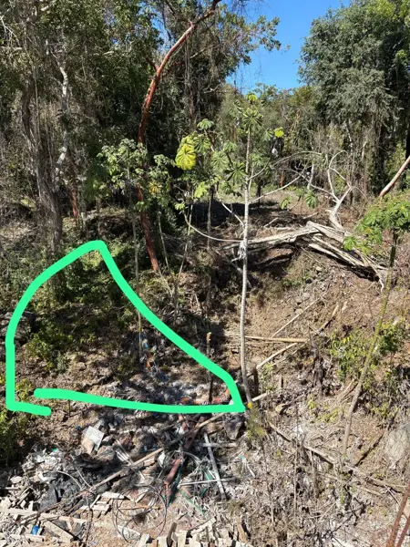 Terreno en venta en Chacala, Compostela — foto 3 de 9