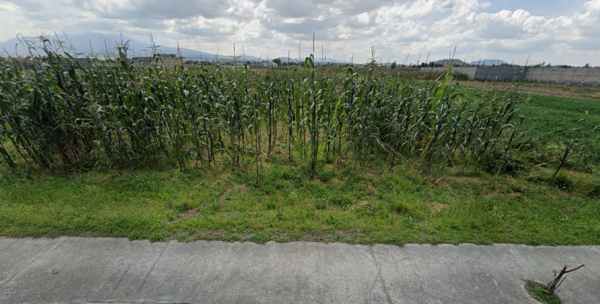 Terreno en venta en San Miguel Totocuitlapilco, Metepec — foto 2 de 2