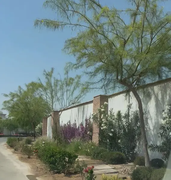 Terreno en venta en Las Trojes, Torreón — foto 2 de 5