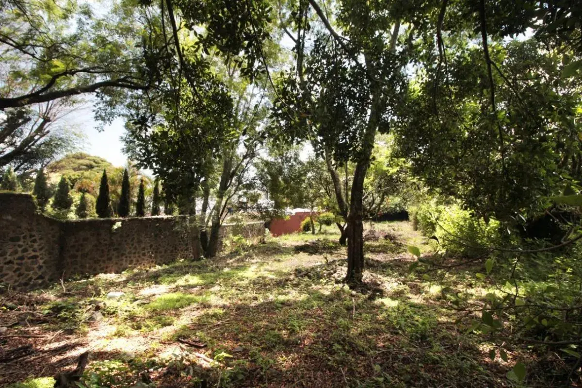 Terreno en venta en Ahuatepec, Cuernavaca — foto 1 de 6
