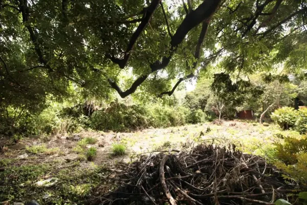 Terreno en venta en Ahuatepec, Cuernavaca — foto 3 de 6