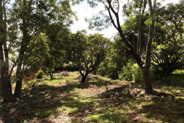 Terreno en venta en Ahuatepec, Cuernavaca — foto 2 de 6