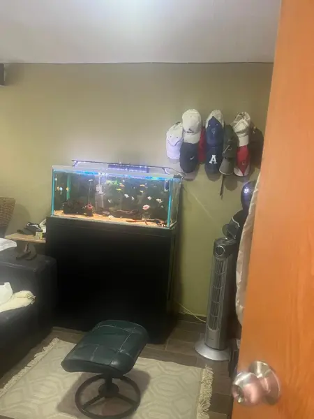 Casa en venta en Tres Cruces, Puebla — foto 2 de 24