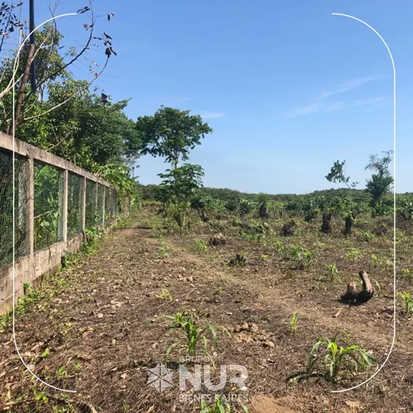 Terreno en venta en Guineo 1ra. Sección, Centro — foto 2 de 5