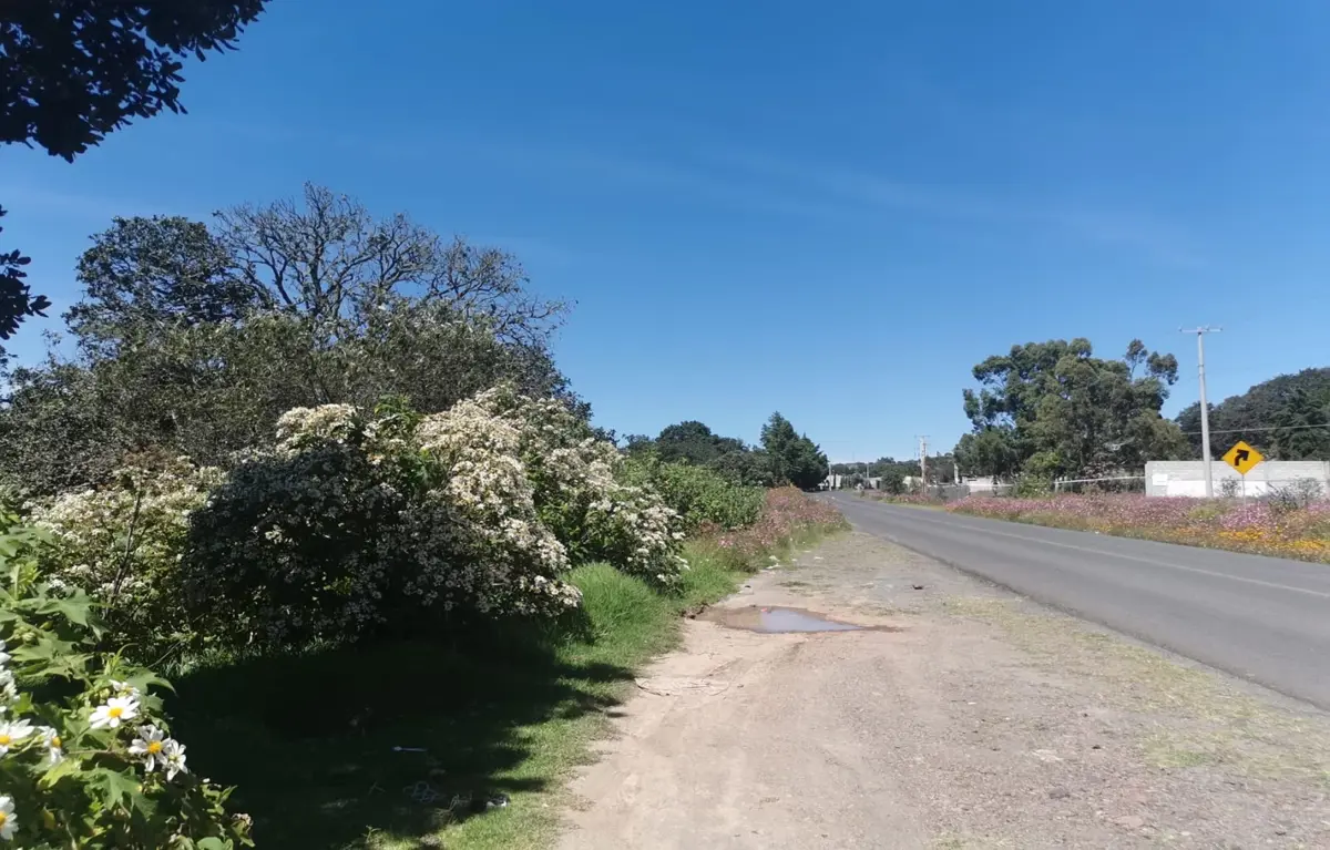 Terreno en venta en Amealco de Bonfil Centro, Amealco de Bonfil — foto 1 de 20