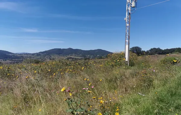 Terreno en venta en Amealco de Bonfil Centro, Amealco de Bonfil — foto 2 de 20