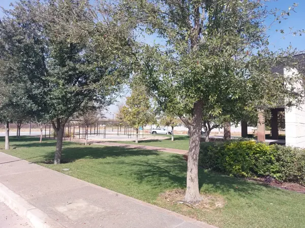Terreno en venta en Punta Bosque, Saltillo — foto 3 de 12