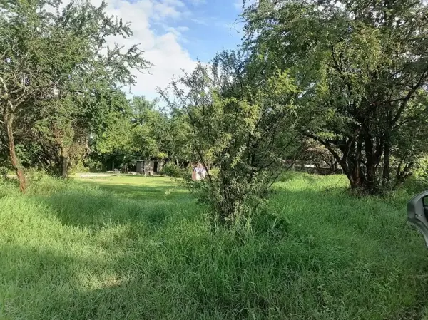 Terreno en venta en Alejandra, Yautepec — foto 3 de 5
