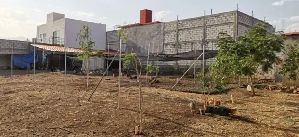 Terreno en venta en El Universo, Cuernavaca — foto 2 de 5