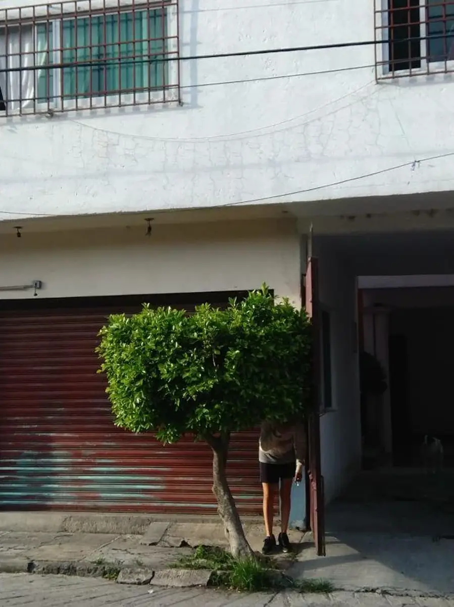 Casa en venta en El Porvenir, Jiutepec — foto 1 de 36